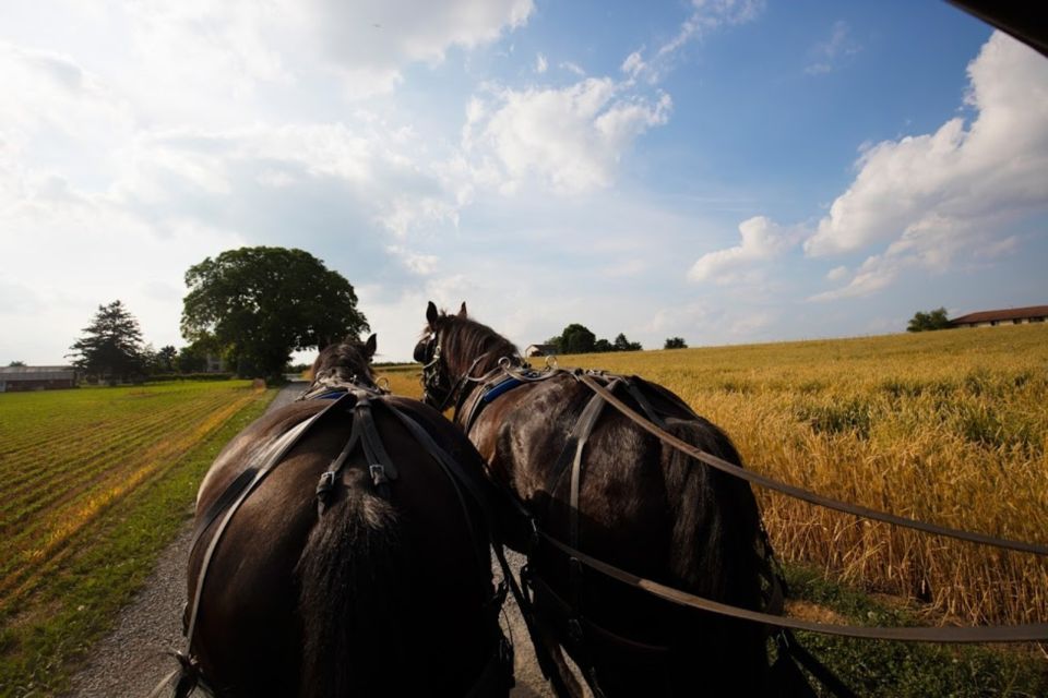 From NYC: Day Trip to Philadelphia and Amish Country - Amish Country: the market stop and lunch that sets the tone