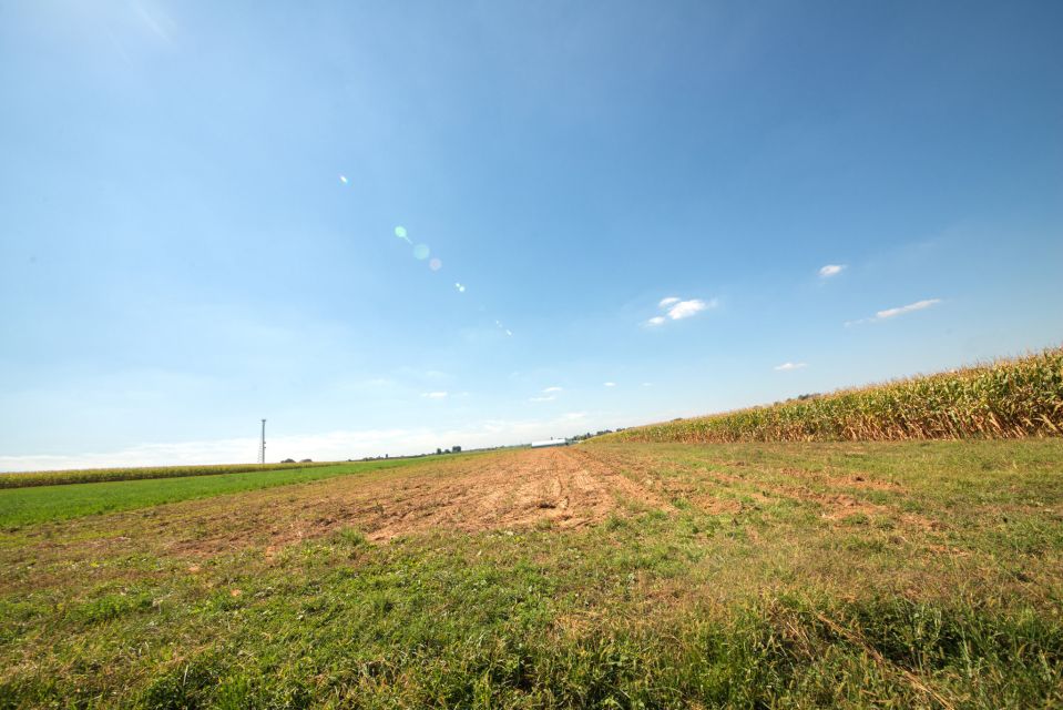 From NYC: Day Trip to Philadelphia and Amish Country - What you’re really paying for: value at $149