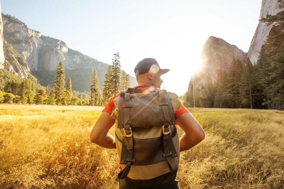 From San Francisco: Day Trip to Yosemite National Park - Foothills to gold country: why the drive feels like part of the story