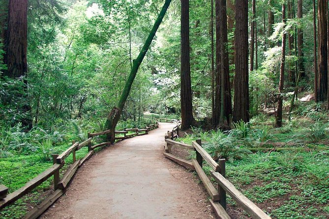 From San Francisco: Guided Tour to Muir Woods and Sausalito - Getting Back to Fisherman’s Wharf: Lunch, Shopping, and a Clean Finish