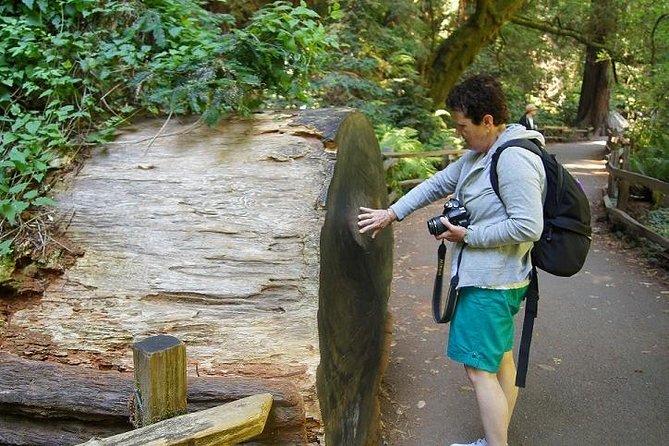 From San Francisco: Guided Tour to Muir Woods and Sausalito - Weather, Timing, and Comfort Tips That Actually Help