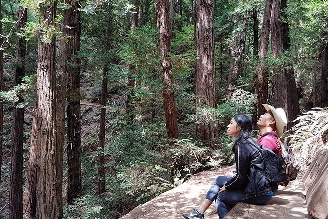 From San Francisco: Guided Tour to Muir Woods and Sausalito - Should You Book This Muir Woods and Sausalito Tour?