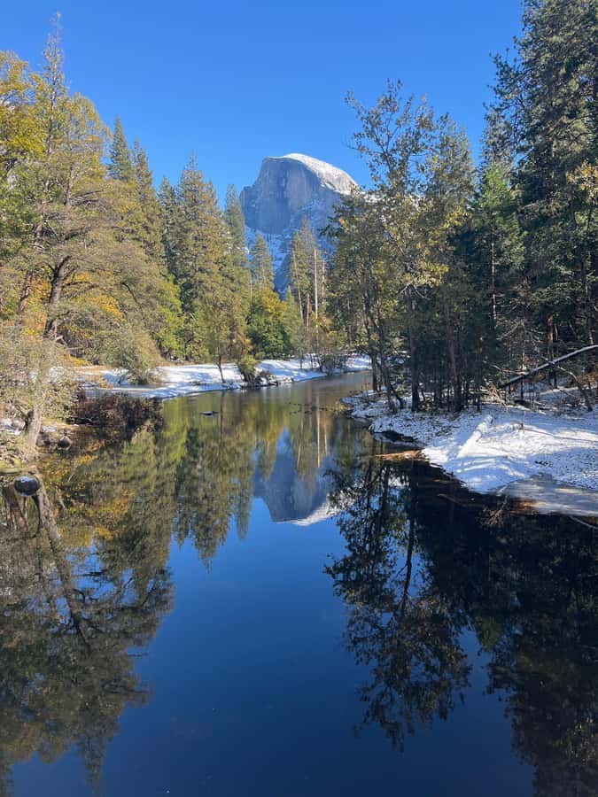 From SF: Yosemite Day Trip with Giant Sequoias Hike & Pickup - El Capitan Photo Stops and How Guides Help You Actually See the Climb
