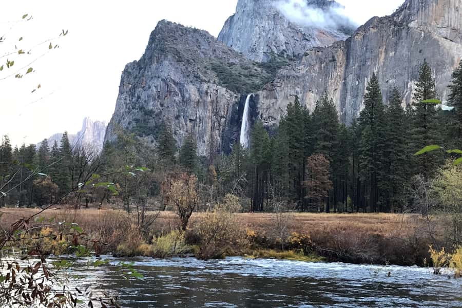 From SF: Yosemite Day Trip with Giant Sequoias Hike & Pickup - Tuolumne Grove Giant Sequoias: A Short Hike With Big History (If Weather Allows)