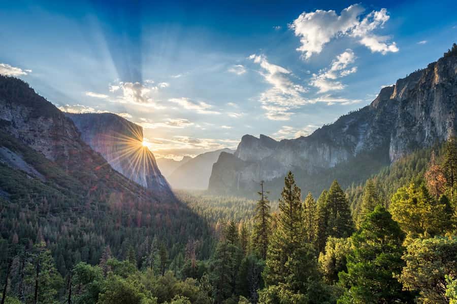 From SF: Yosemite Day Trip with Giant Sequoias Hike & Pickup - Who This Tour Works For (and Who Should Skip the Sequoia Hike)