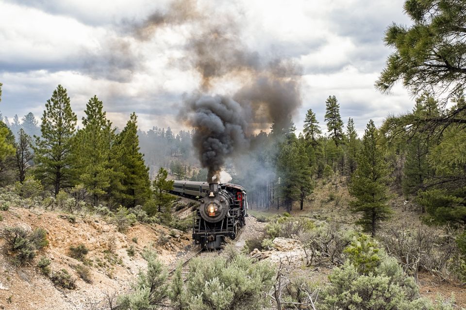 From Williams: Grand Canyon Railway Round-Trip Train Ticket - Getting Your Canyon Time Right: Grand Canyon Village at Lunchtime