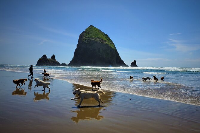 Full-Day Guided Oregon Coast Tour from Portland - Haystack Rock and tide pools: bird drama plus geology