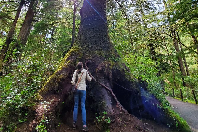 Full-Day Guided Oregon Coast Tour from Portland - Hug Point or Oswald West: two coasts within the same day
