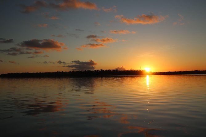 Full-Day Kayak Adventure in the Everglades - Wet Cypress Dome Walks: The Slogging Part You’ll Talk About