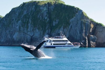 Full-Day Kenai Fjords National Park Cruise - Resurrection Bay: Start Here for Wildlife-First Cruising