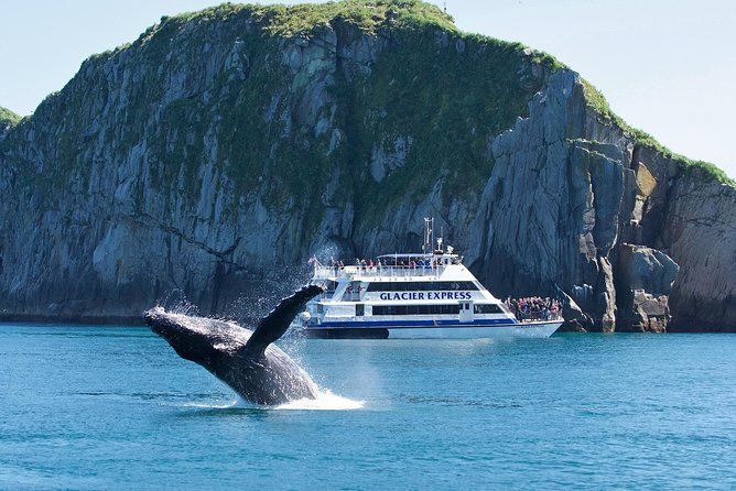 Full-Day Kenai Fjords National Park Cruise - Resurrection Bay: Start Here for Wildlife-First Cruising