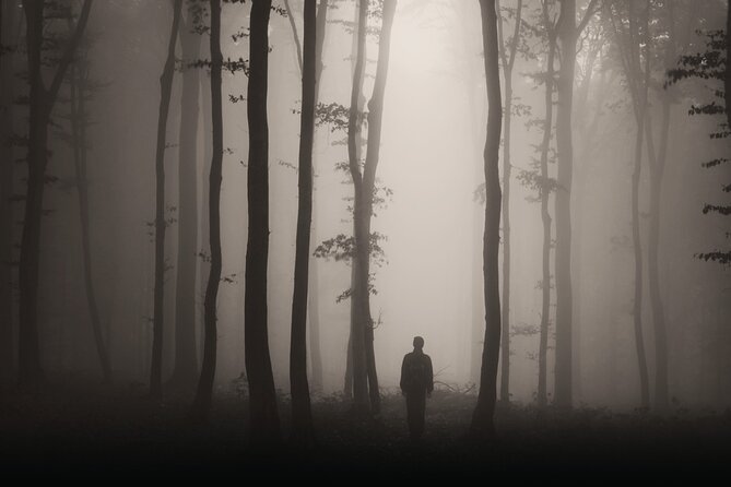 Gettysburg: Ghost Hunt Tour with Ghost Hunting Equipment - Key Highlights You’ll Actually Notice