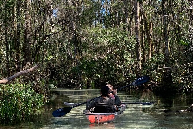 Glass Bottom Kayak Eco Tour through Rainbow Springs - Key Highlights You’ll Care About