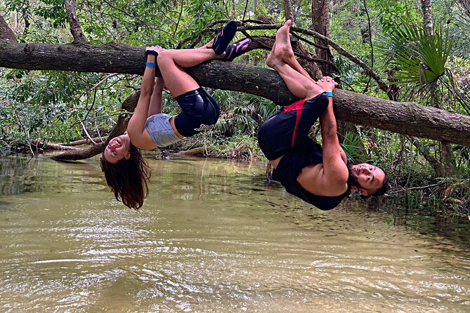 Glass Bottom Kayak Eco Tour through Rainbow Springs - Wildlife Spotting Without the Fuss: What to Look For