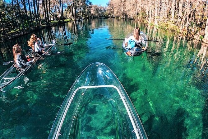 Glass Bottom Kayak Eco Tour through Rainbow Springs - The Guides: Small Details That Make the Paddle Better
