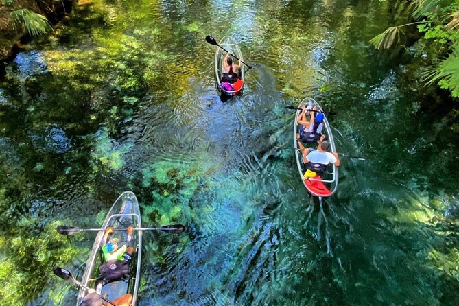 Glass Bottom Kayak Tours of Silver Springs - Key things that make this tour worth it