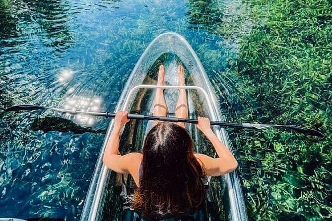 Glass Bottom Kayak Tours of Silver Springs - Wildlife you can realistically hope to see
