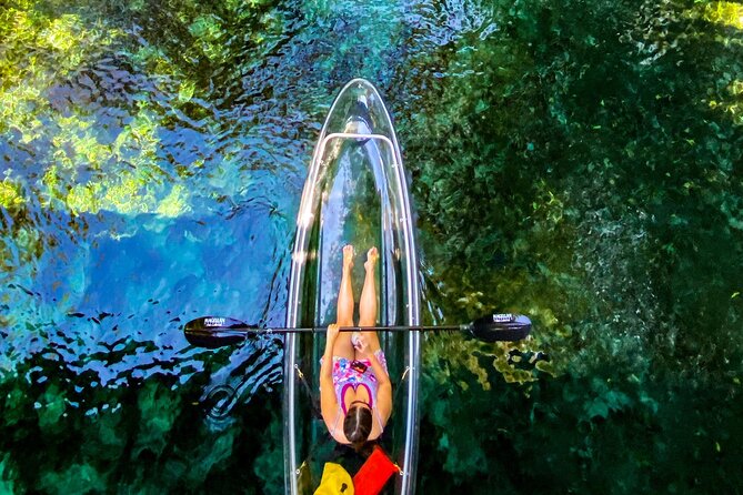 Glass Bottom Kayak Tours of Silver Springs - Guide energy and group size: small-group time you can feel