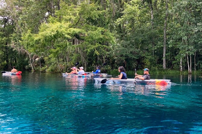 Glass Bottom Kayak Tours of Silver Springs - Who should book this tour (and who might skip it)