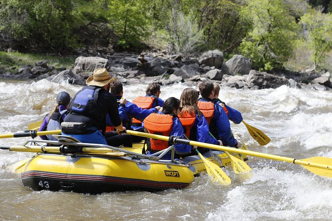 Glenwood Springs Half-Day Rafting Trip - Stop-by-stop: what each part of the trip is really like