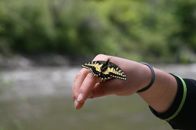 Glenwood Springs Half-Day Rafting Trip - Guides, safety, and how the trip feels day-of