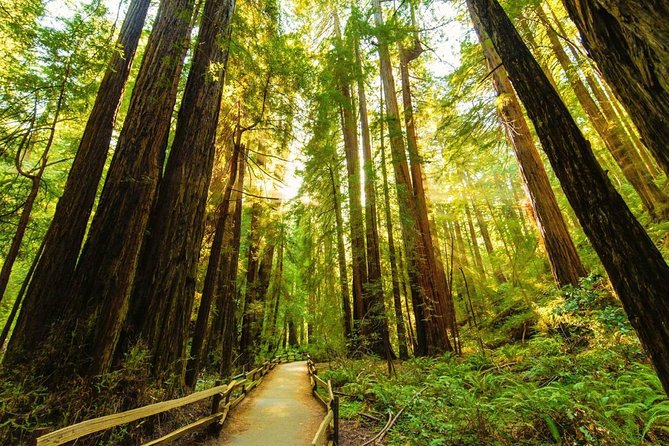 Golden Gate Bridge Muir Woods Sausalito with Optional Alcatraz - Getting started at 2800 Hyde St and why the timing is your friend