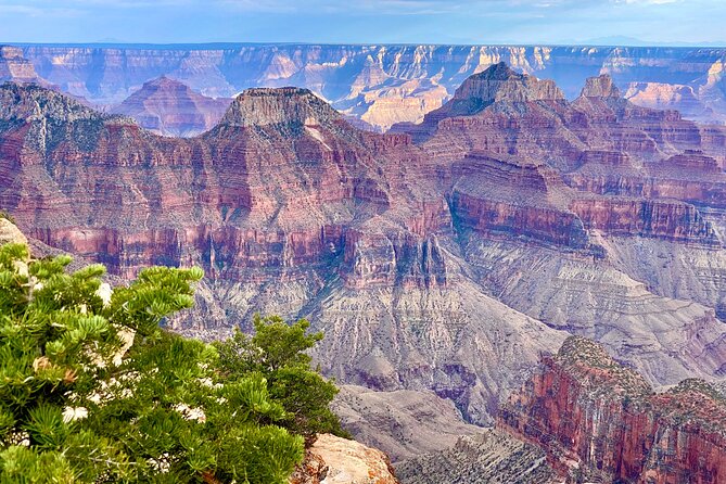 Grand Canyon National Park South from Las Vegas with Lunch, WiFi - Lunch, water, WiFi, and onboard comfort at 50-seat scale