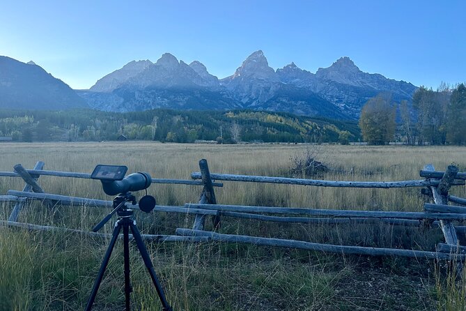 Grand Teton Half Day Tour - Stop-by-stop: what each stop is for (and what you might miss)