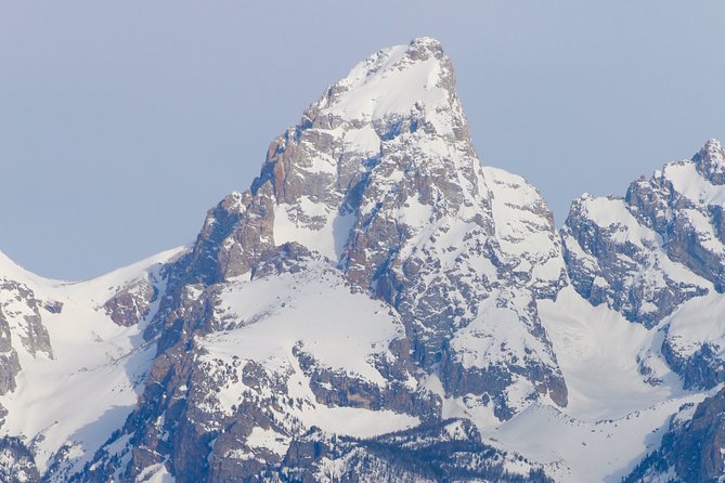 Grand Teton Half Day Tour - What the guide adds: history, wildlife behavior, and sharper looking