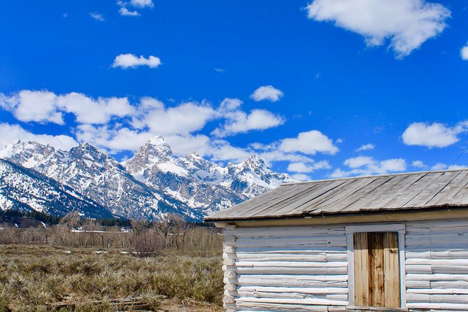 Grand Teton Half Day Tour - Price and value: where $149 makes sense