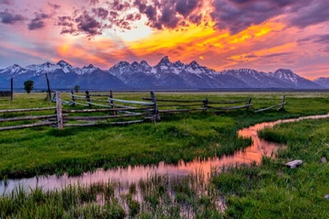 Grand Teton Wildlife Safari in a Enclosed or Open-Air Vehicle (season dependent) - Key takeaways before you go