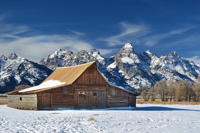 Grand Teton Wildlife Safari in a Enclosed or Open-Air Vehicle (season dependent) - Snacks, binoculars, and small touches that add up