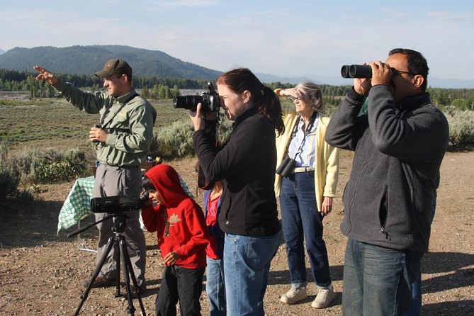 Grand Teton Wildlife Safari in a Enclosed or Open-Air Vehicle (season dependent) - Best fit: who should book this safari