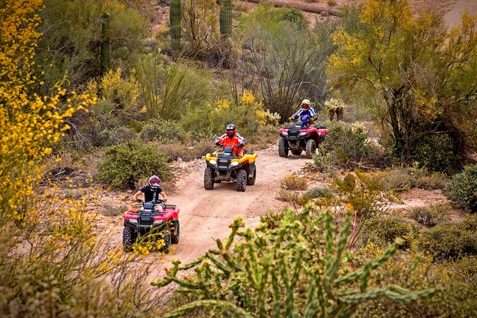 Guided Arizona Desert Tour by ATV - Centipede Tour - Quick hits on the Centipede guided ATV tour