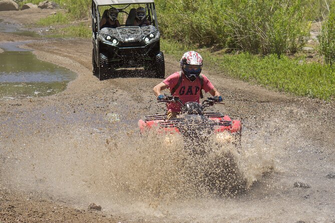 Guided Arizona Desert Tour by ATV - Centipede Tour - The stop-and-learn moments: plants, wildlife, and Native farming stories