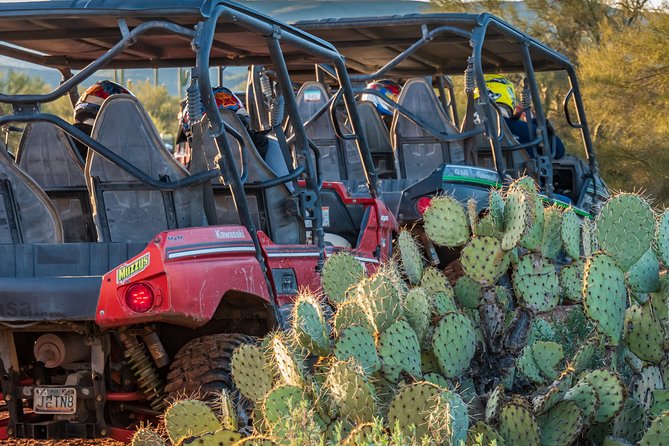 Guided Arizona Desert Tour by UTV - Centipede Tour - Price and value: $107.74 for the real thing, not a tame ride