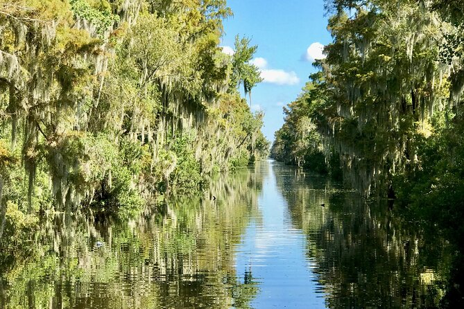 Guided Boat Tour of New Orleans Bayou - Pickup in New Orleans: where you start, when you should be ready