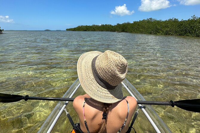 Guided Clear Kayak Eco-Tour Near Key West - Key Points You’ll Care About