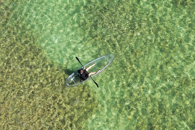 Guided Clear Kayak Eco-Tour Near Key West - First Impressions: Why This Kayak Tour Feels Different