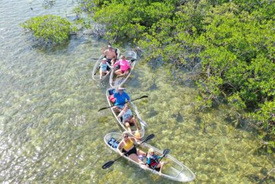 Guided Clear Kayak Eco-Tour Near Key West - Price and Value: Is $79 a Good Deal?