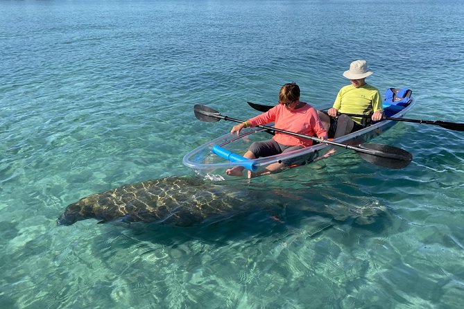 Guided Clear Kayak Eco-Tour of Jupiter - Key highlights before you go