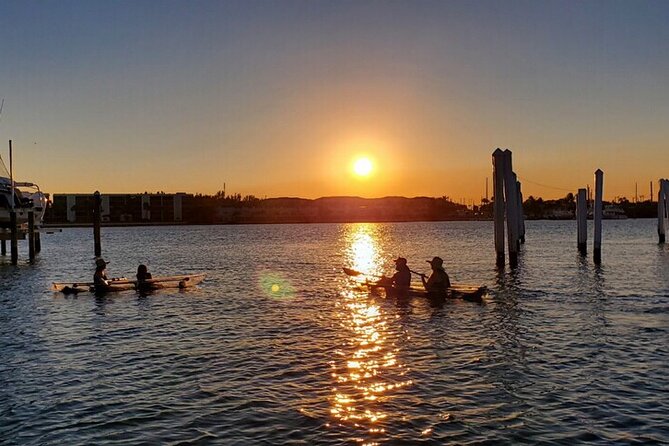 Guided Clear Kayak Eco-Tour of Jupiter - Safety, comfort, and what to bring for a 1.5–2 hour paddle