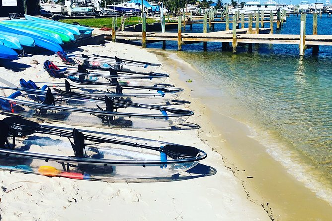 Guided Clear Kayak Eco-Tour of Jupiter - FAQ