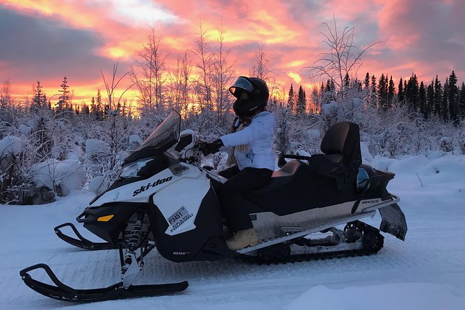 Guided Fairbanks Snowmobile Tour - Price and value: does $169 buy a real experience?