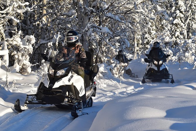 Guided Fairbanks Snowmobile Tour - Best fit: who should book this tour near Fairbanks