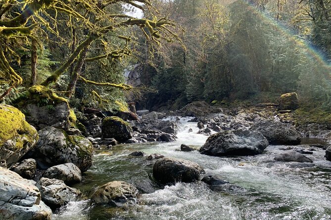 Guided forest hike to Seattle waterfalls incl. Snoqualmie Falls - Price and Value: What $79 Buys You in Real Terms