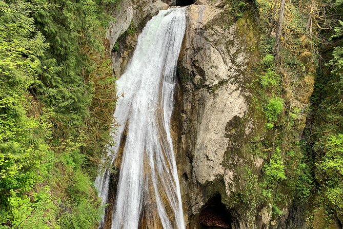 Guided forest hike to Seattle waterfalls incl. Snoqualmie Falls - What Guides Actually Do That Improves the Day