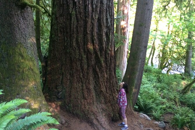 Guided forest hike to Seattle waterfalls incl. Snoqualmie Falls - Starting in Seattle: Pickup, Group Size, and Getting There Smoothly