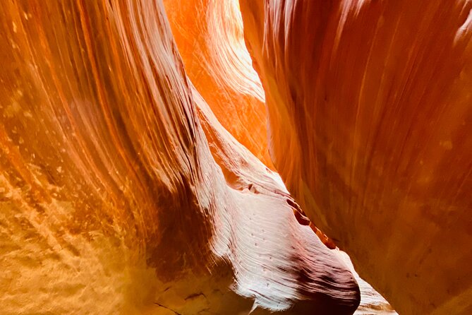 Guided Hike through Peek-a-Boo Slot Canyon (Small Group) - Why Peek-a-Boo Feels Special (Even If You’ve Done Other Canyons)