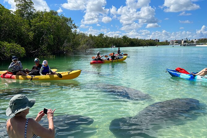 Guided Island EcoTour: CLEAR/Standard Kayak, SUP - Bonita Springs - Big Hickory Island: the mangroves-to-Gulf route you came for